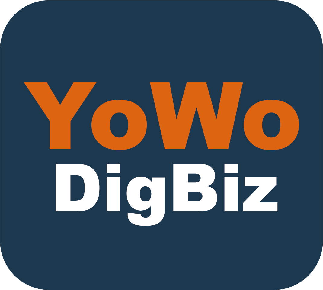 有我数商 YoWo Digbiz